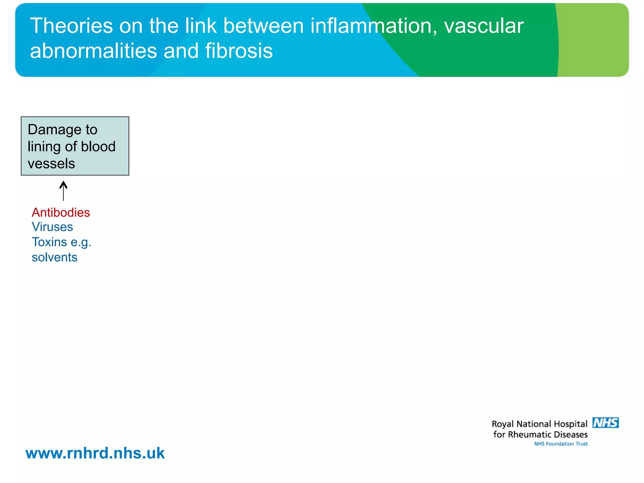 www.rnhrd.nhs.uk
Theories on the link between inflammation, vascular
abnormalities and fibrosis
Damage to
lining of blood
vessels
Antibodies
Viruses
Toxins e.g.
solvents
 