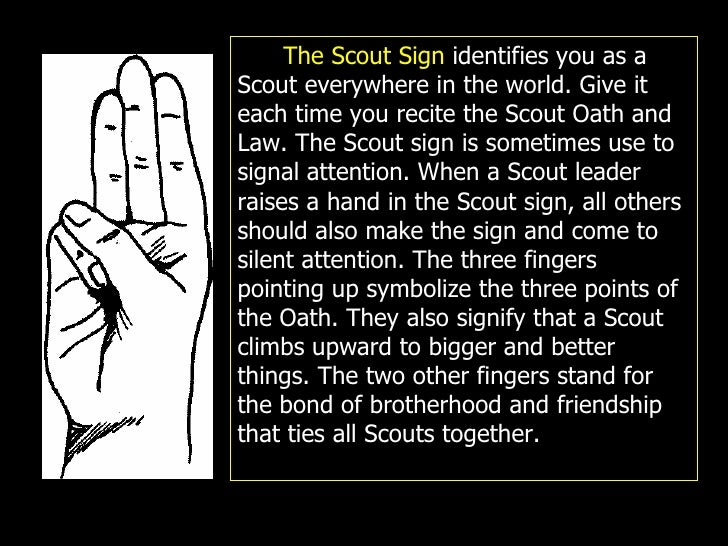 What Is Scouting( A.P. Anghay Council Scout Exec., BSP)