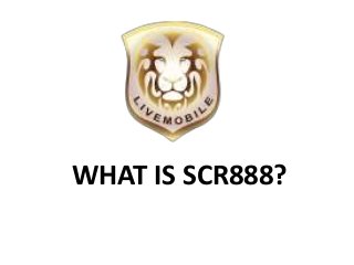 WHAT IS SCR888?
 