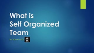 What is
Self Organized
Team
BY ADNAN AZIZ
 