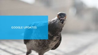 GOOGLE UPDATES
 
