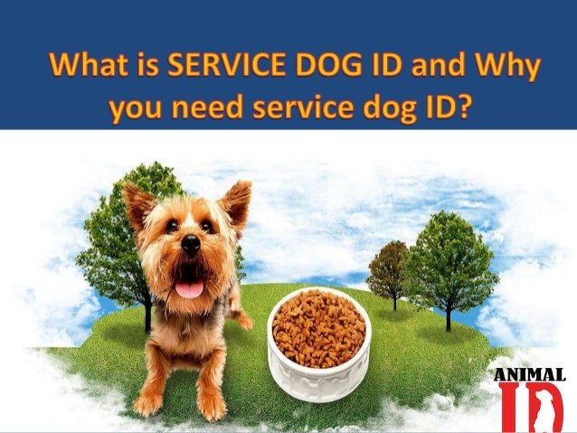 What Is Service Dog Id And Why You Need Service Dog Id what-is-service-dog-id-and-why-you-need-service-dog-id