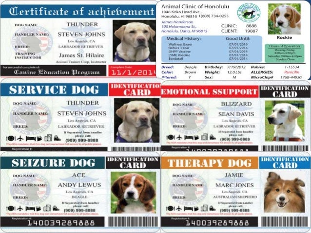 service dog certificate template