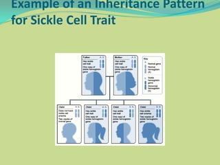 What is sickle cell anemia | PPTX