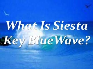 What Is Siesta
Key BlueWave?
 