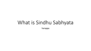 What is Sindhu Sabhyata
harappa
 