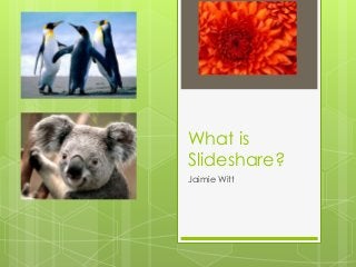 What is
Slideshare?
Jaimie Witt
 