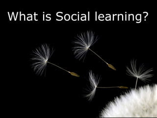What is Social learning? 