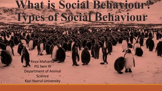 What is Social Behaviour?
Types of Social Behaviour
Keya Mahanta
PG Sem III
Department of Animal
Science
Kazi Nazrul University
 