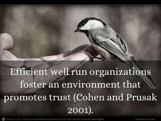 Photo by Pro-Zak - Creative Commons Attribution-NonCommercial License https://www.flickr.com/photos/28998362@N00 Created with Haiku Deck
 