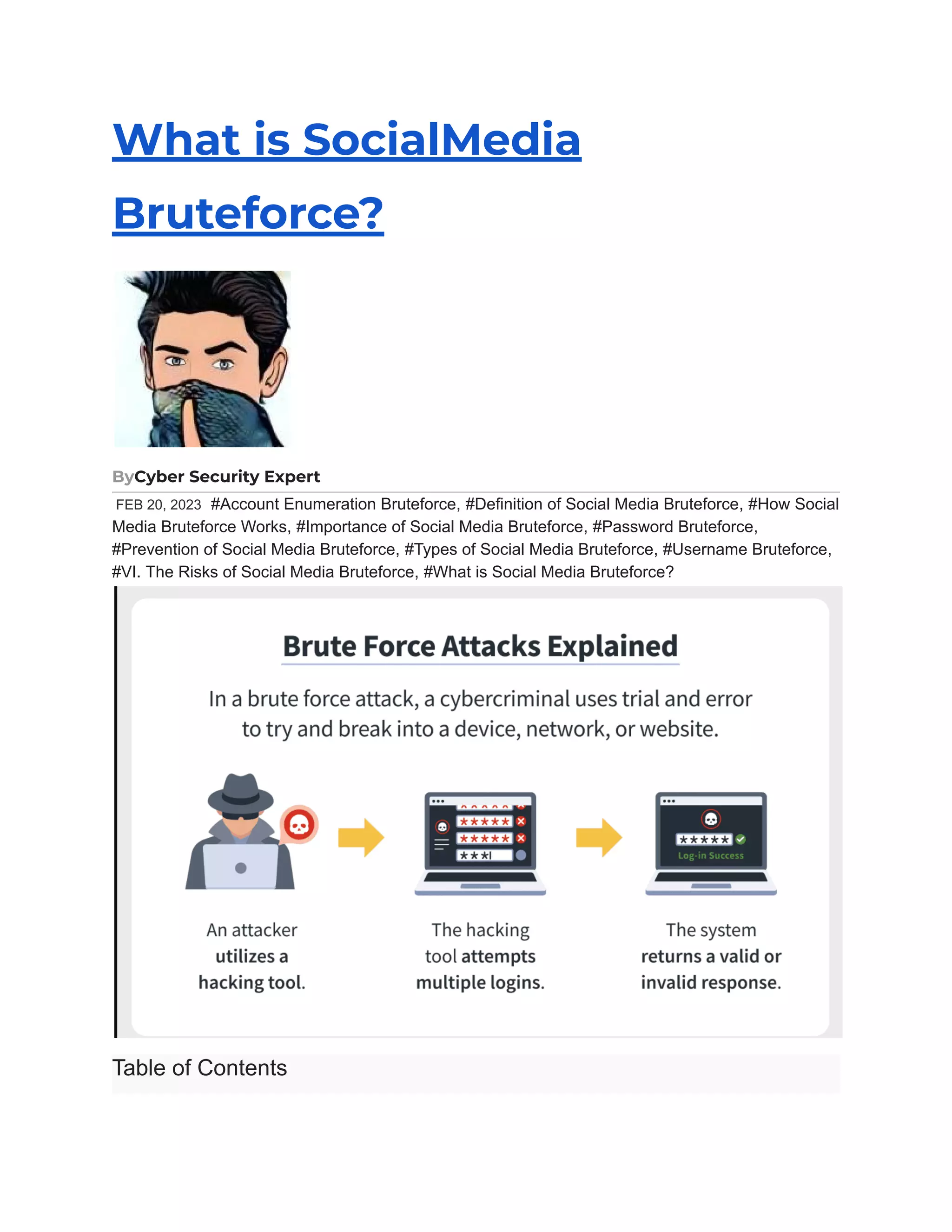 View of What is SocialMedia Bruteforce.pdf