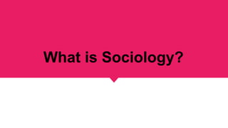 What is Sociology?
 