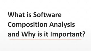 What is Software
Composition Analysis
and Why is it Important?
 