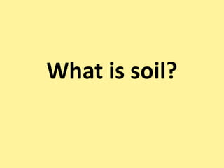 What is soil?
 