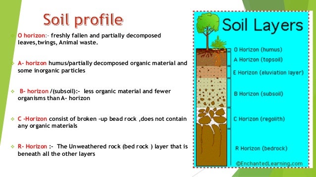 Indiscriminate use of fertilizers and pesticides essay