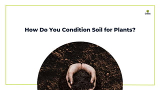 What Is Soil Conditioning