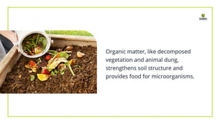 What Is Soil Conditioning