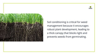 What Is Soil Conditioning