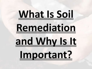 What Is Soil
Remediation
and Why Is It
Important?
 