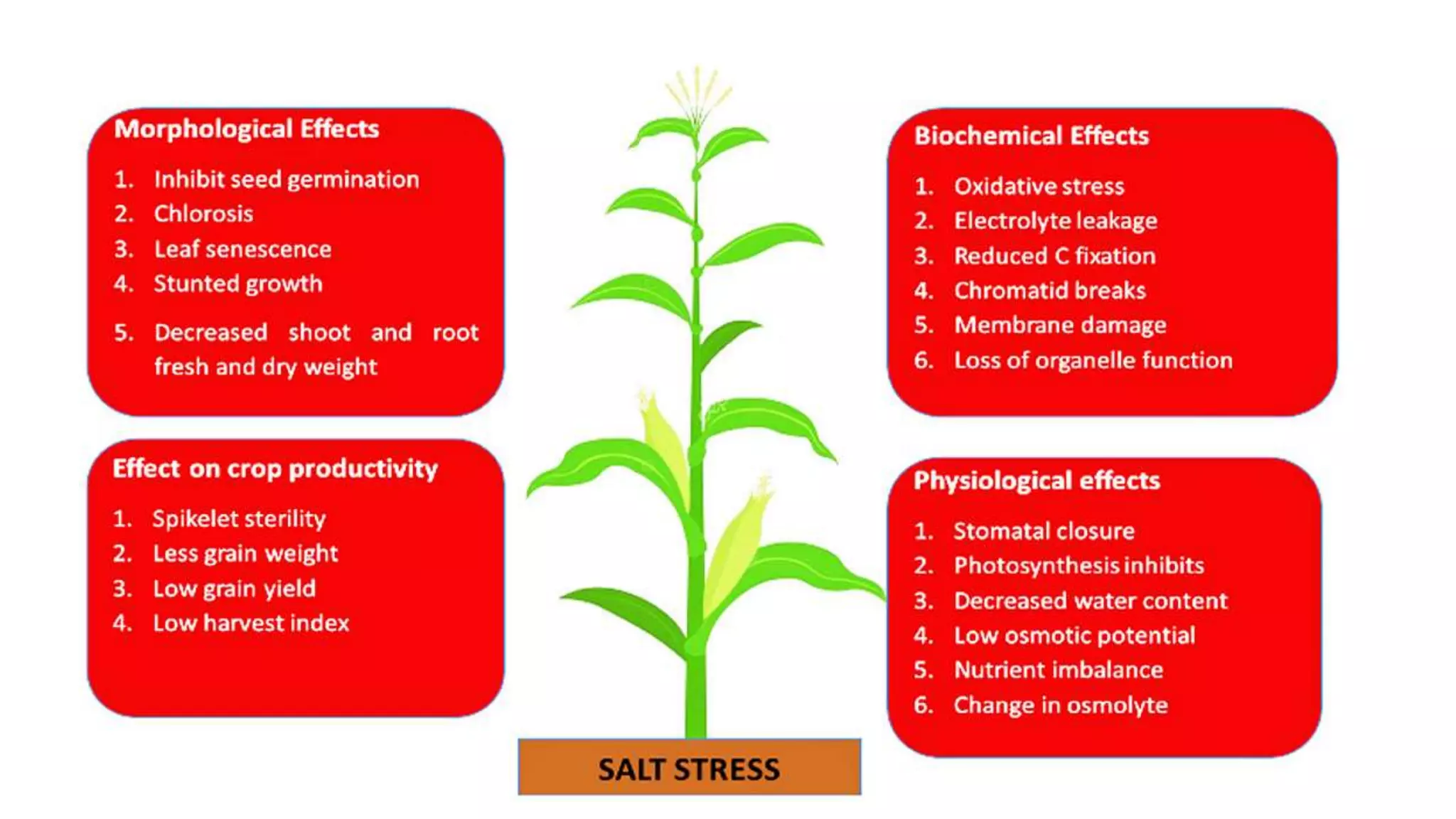 What Is Soil Salinity pptx What is soil salinity pptx