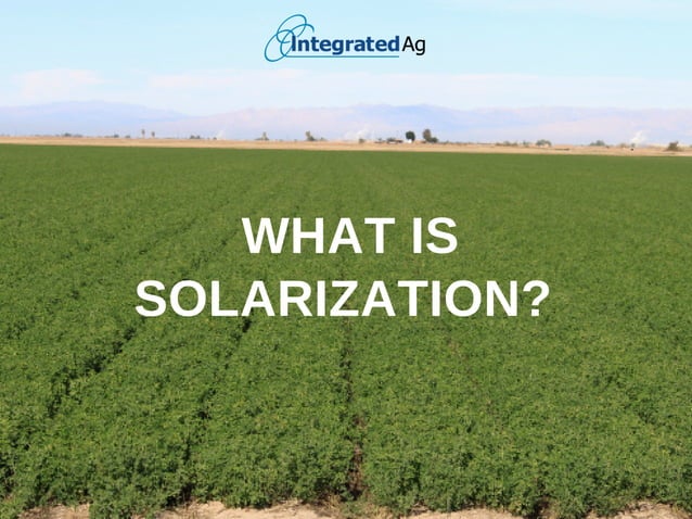What is Solarization | PDF