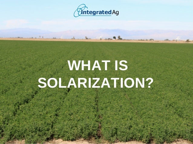 photo Solarisation In Agriculture what is solarization