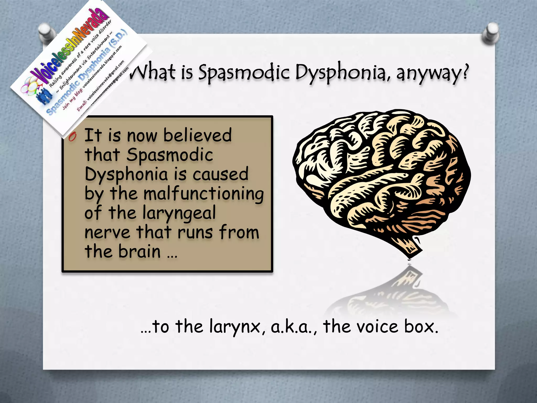 What is Spasmodic Dysphonia, anyway?


O It is now believed
 that Spasmodic
 Dysphonia is caused
 by the malfunctioning
 of the laryngeal
 nerve that runs from
 the brain …



        …to the larynx, a.k.a., the voice box.
 