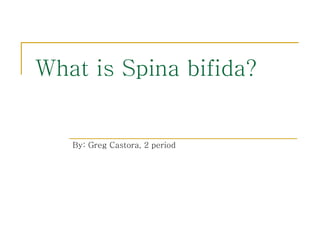 What is Spina bifida? By: Greg Castora, 2 period 