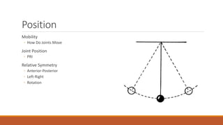 Axial Rotation Pt What is Sports Physical Therapy? | PPTX