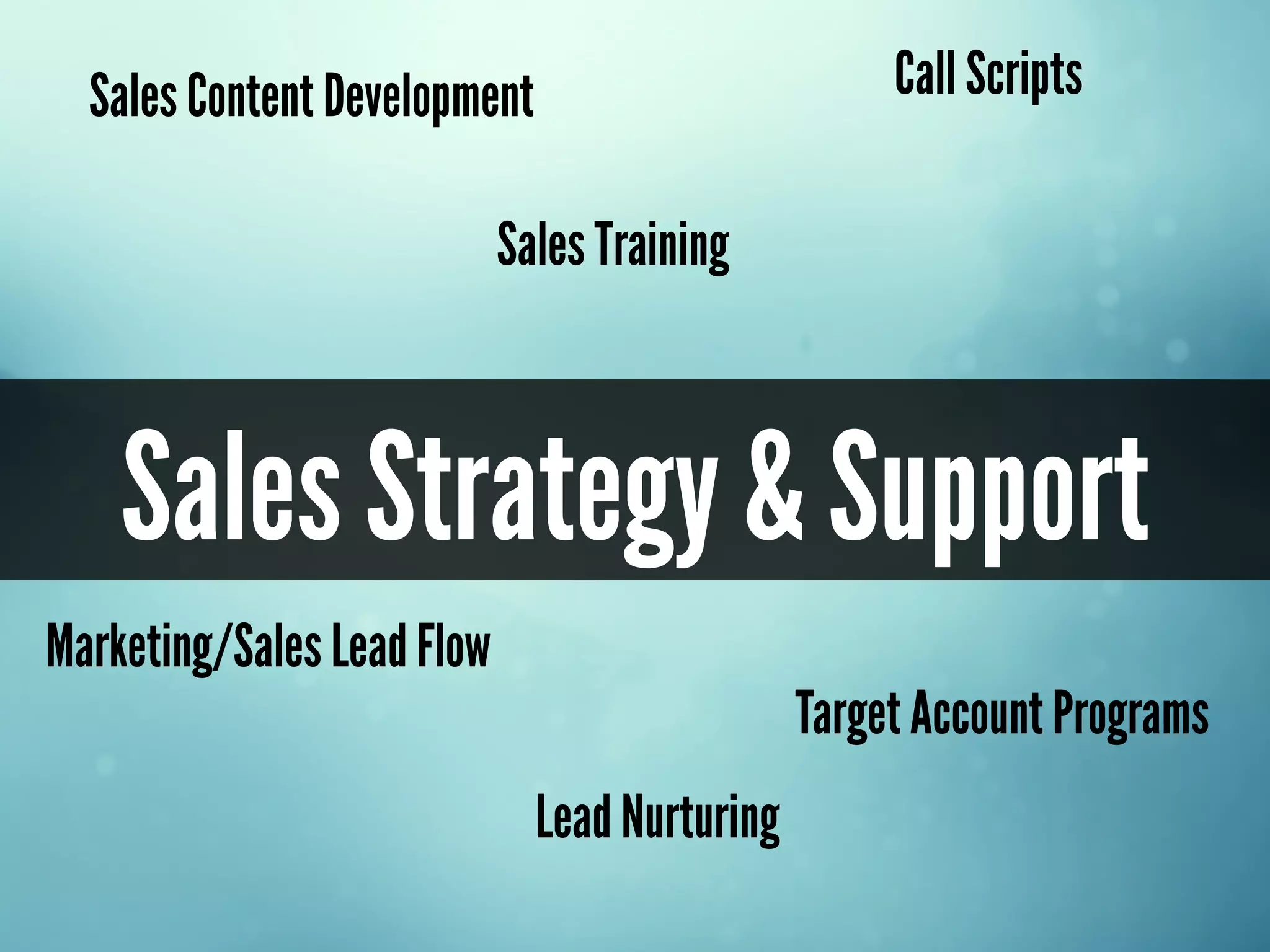 Sales Strategy & Support
Call Scripts
Target Account Programs
Sales Content Development
Sales Training
Marketing/Sales Lead Flow
Lead Nurturing
 