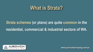 What Is Strata? | PDF