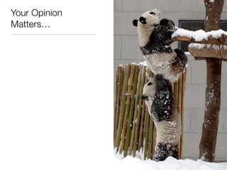 Your Opinion
Matters…
 