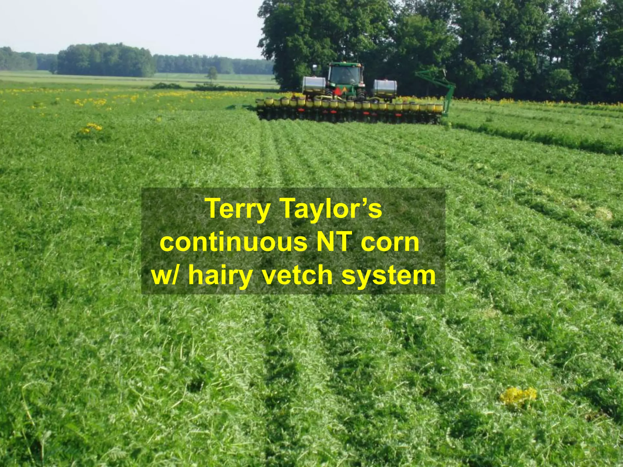 Terry Taylor’s
continuous NT corn
w/ hairy vetch system
 