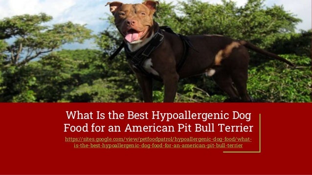 What Is the Best Hypoallergenic Dog
Food for an American Pit Bull Terrier
https://sites.google.com/view/petfoodpatrol/hypoallergenic-dog-food/what-
is-the-best-hypoallergenic-dog-food-for-an-american-pit-bull-terrier
 