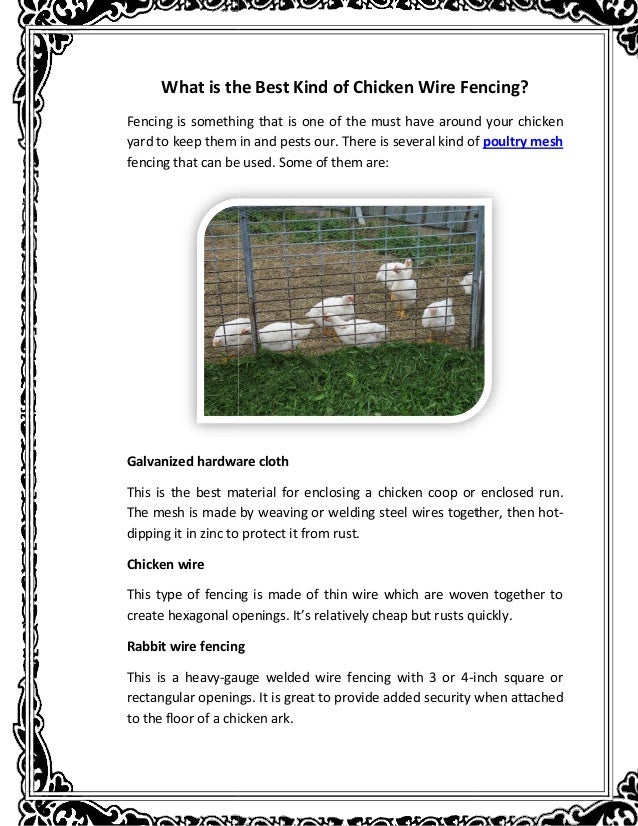 What Is The Best Kind Of Chicken Wire Fencing