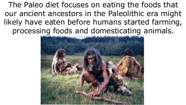 Over 40 Diet