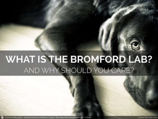 What is the Bromford Innovation Lab? And why should you care?