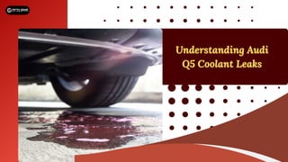 What is the Common Issue for Audi Q5 Coolant Leaking PDF