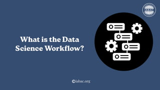 What is the Data Science Workflow | IABAC | PDF