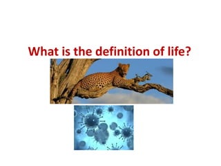 What is the definition of life?
 