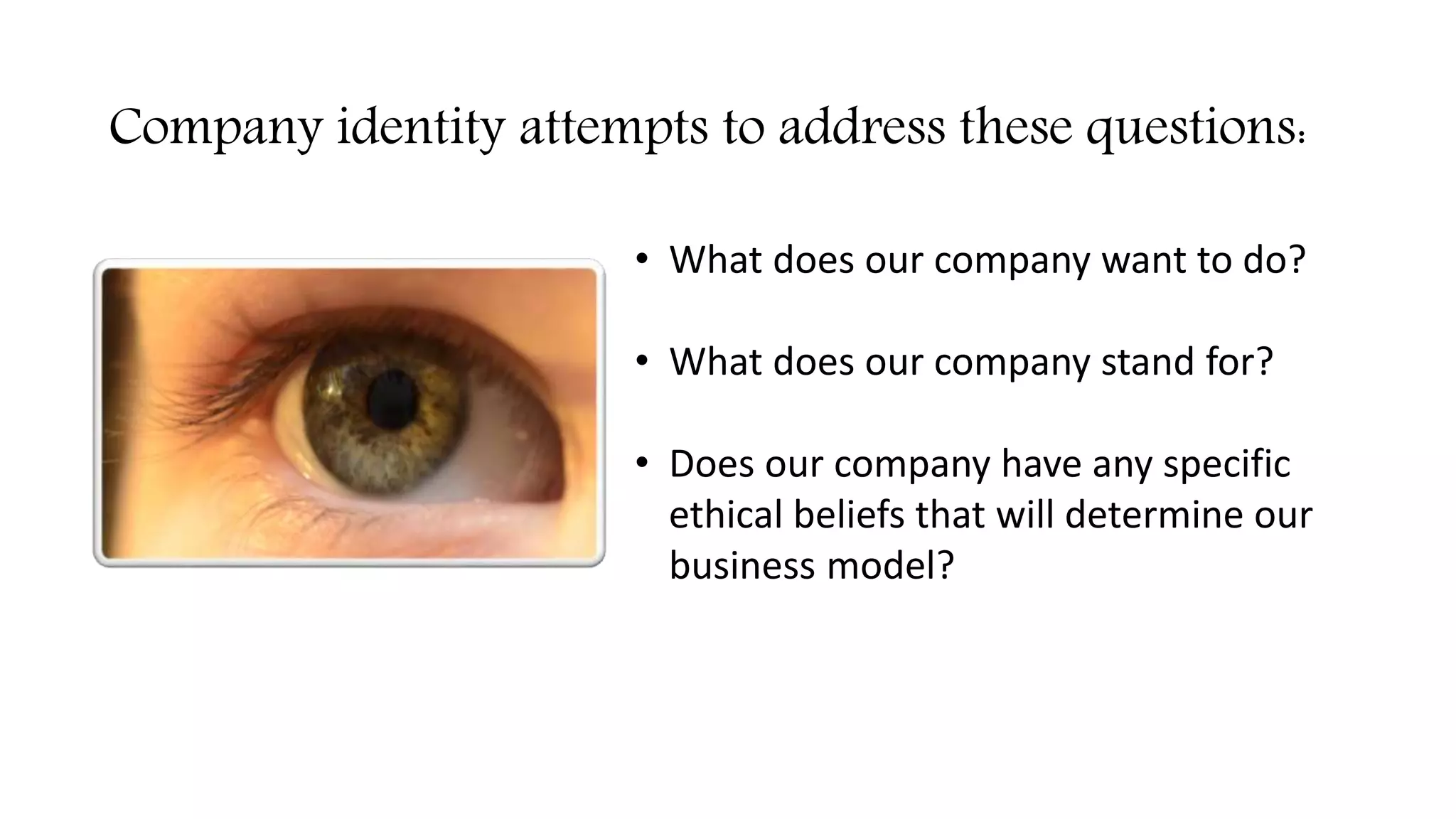 Company identity attempts to address these questions:
• What does our company want to do?
• What does our company stand for?
• Does our company have any specific
ethical beliefs that will determine our
business model?
 