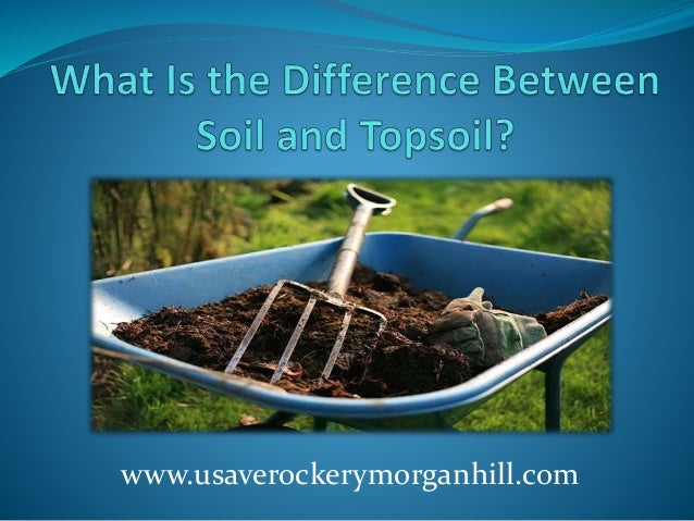 What Is the Difference Between Soil and Topsoil?