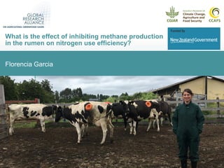 What is the effect of inhibiting methane production in the rumen on nitrogen use efficiency?