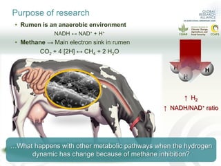 What is the effect of inhibiting methane production in the rumen on nitrogen use efficiency?