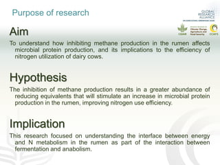 What is the effect of inhibiting methane production in the rumen on nitrogen use efficiency?