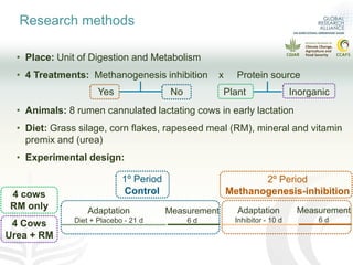 What is the effect of inhibiting methane production in the rumen on nitrogen use efficiency?