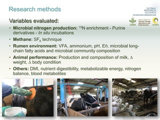 What is the effect of inhibiting methane production in the rumen on nitrogen use efficiency?