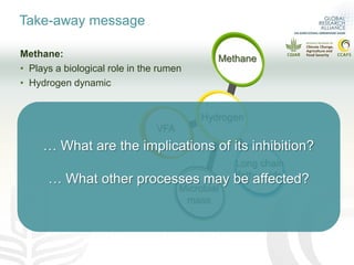 What is the effect of inhibiting methane production in the rumen on nitrogen use efficiency?