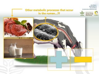 What is the effect of inhibiting methane production in the rumen on nitrogen use efficiency?