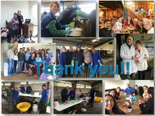 What is the effect of inhibiting methane production in the rumen on nitrogen use efficiency?